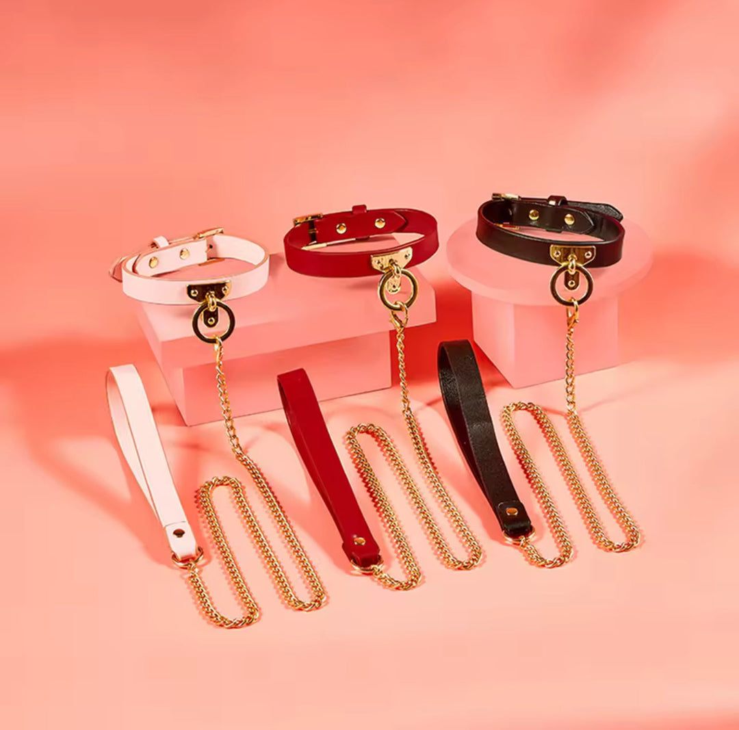 Collar &amp; Leash