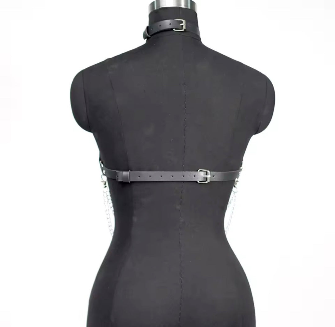 Hexa Core Harness