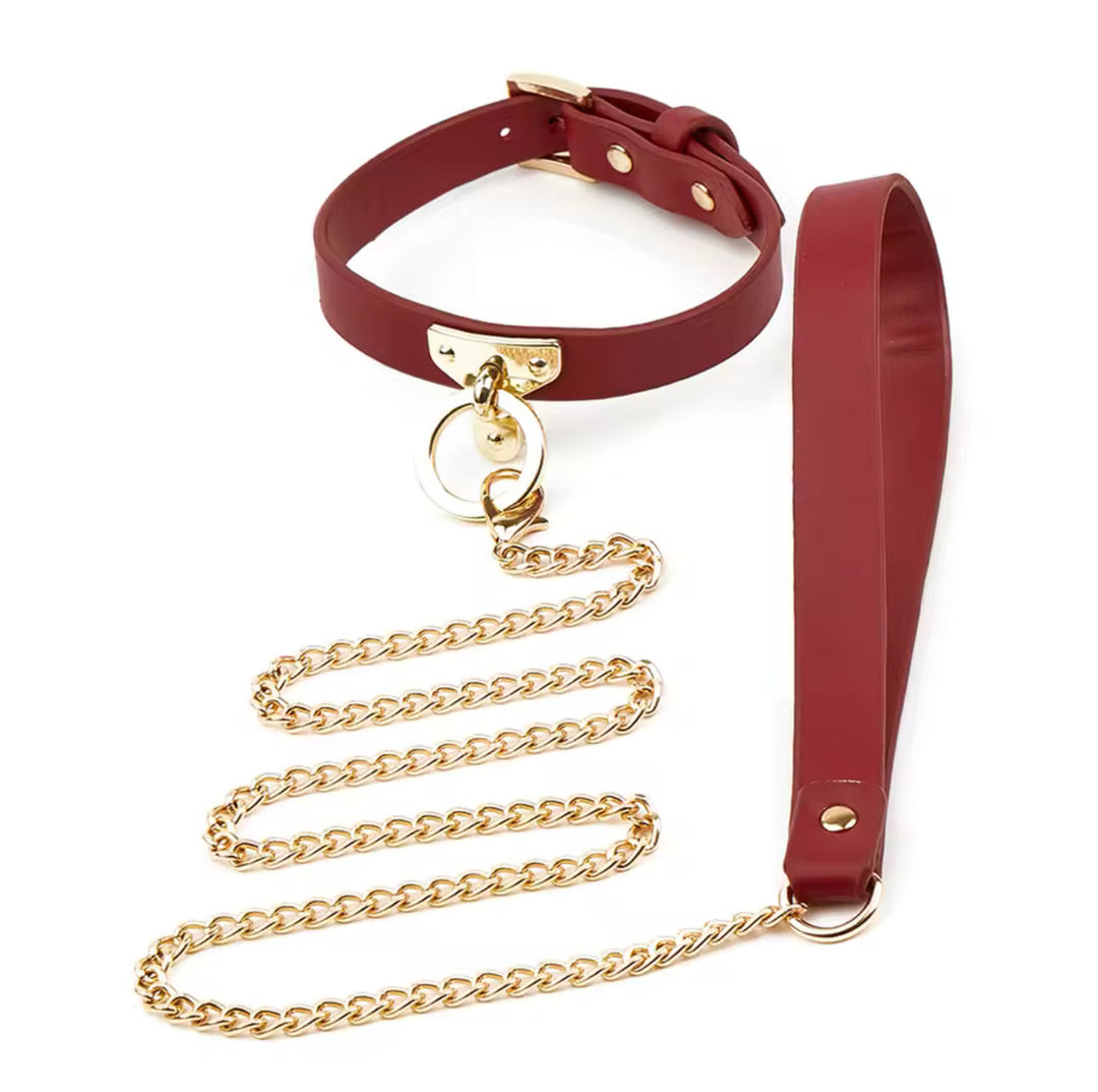 Collar &amp; Leash