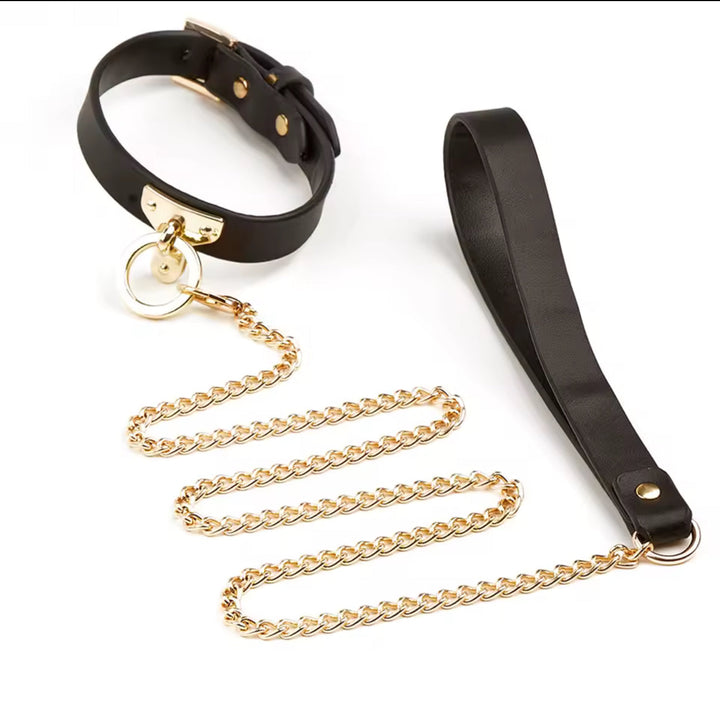 Collar &amp; Leash