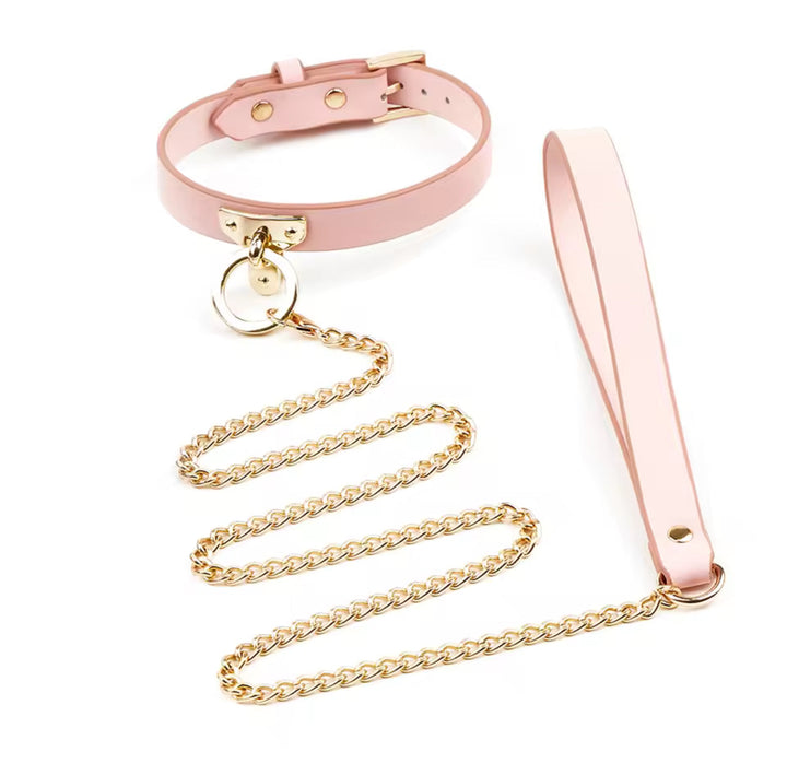 Collar &amp; Leash