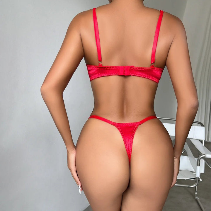 Exquisite Red and Black Lace Lingerie Set